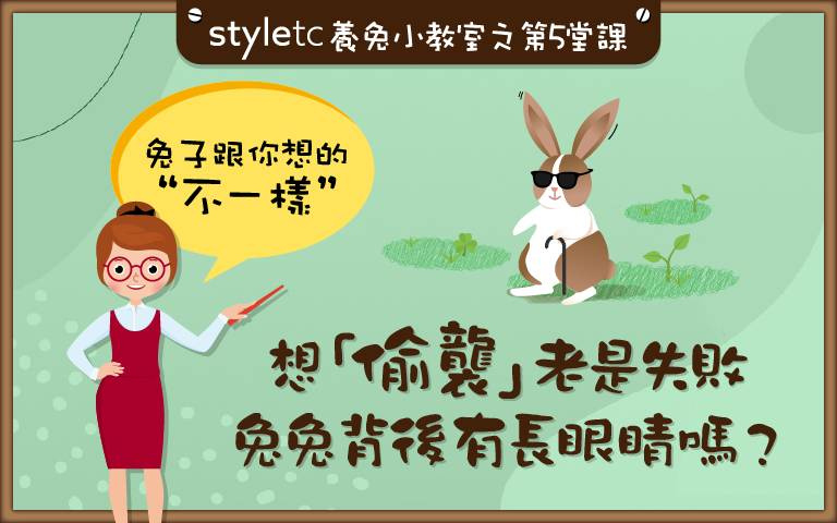 行動の全景監視器!一窺「兔眼世界」的神祕面紗,「這裡」竟是視覺盲點!