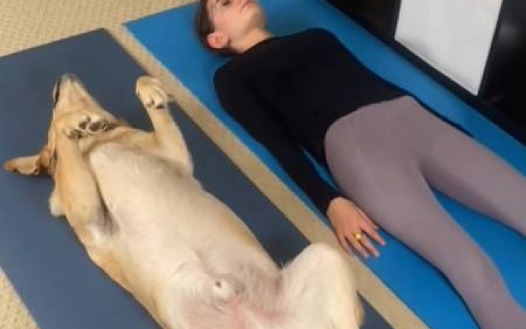 主人和拉拉一起做瑜珈！　動作神同步「還上演合體技」