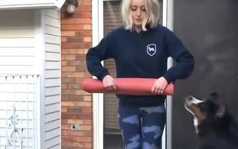 聖伯納犬和主人一起做瑜珈？　網友笑翻：牠可能是想玩柔道