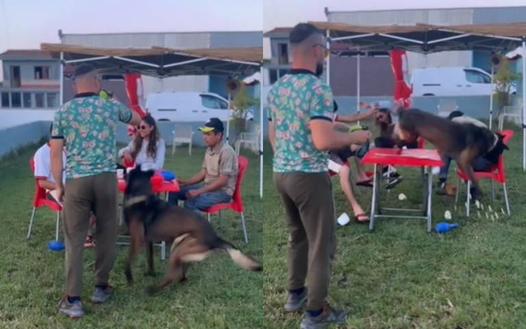 調皮壞狗狗！為了追球無意間翻桌…她嚇到踉蹌跌地上