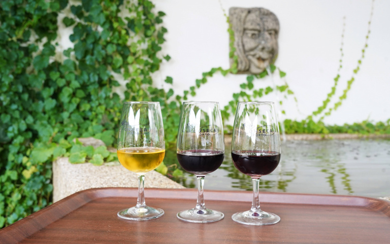 秋日悠遊波多3／感受葡萄牙國酒「波特酒」的香甜魅力  來一趟杜羅河酒莊巡禮