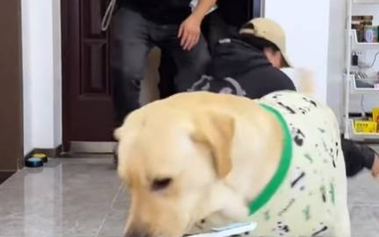 主人遇襲！　拉拉低頭忙幹飯…全網看傻