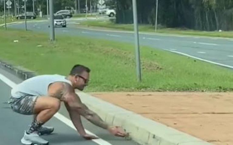 大肌肌幫助小鴨鴨！　伸手幫牠過馬路、跟上鴨媽的腳步