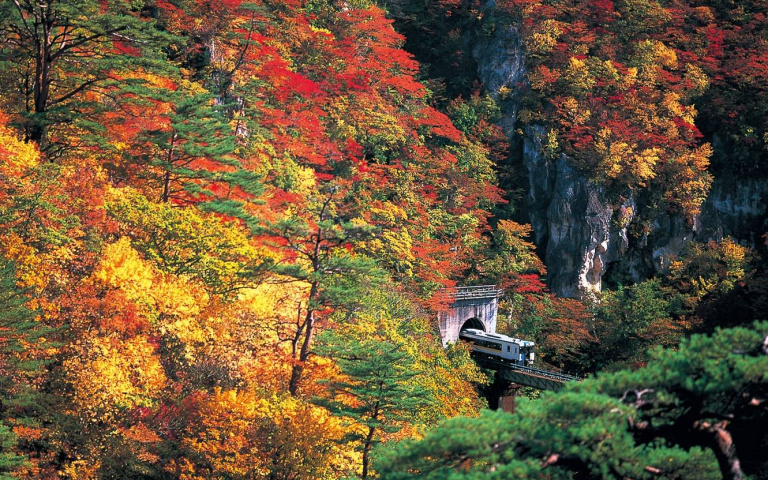 日本東北賞楓清單　下個秋天來趟鐵道追楓小旅行