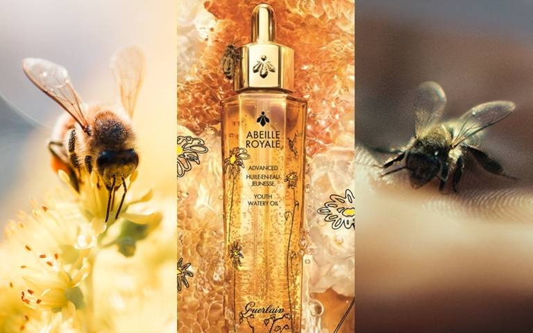 2022世界蜜蜂日「嬌蘭蜜蜂保育活動」開跑!每轉發一則貼文直接幫妳捐20歐元做愛心!