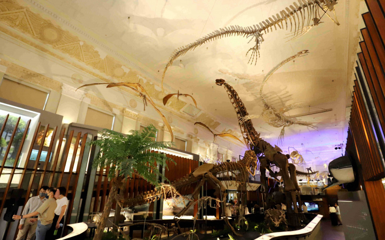 小心，史前巨獸出沒！臺灣博物館帶你穿越時空，到古生物世界冒險