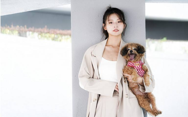 寵物情緣/認養泥濘浪浪…洗澡後變身貴氣犬!吳季璇全家出動救浪貓