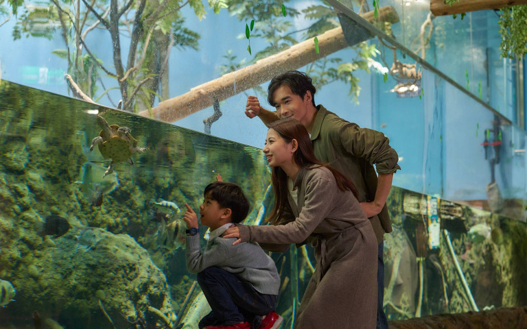 去Xpark送彩繪套組，桃園人95折！還能喝草莓牛奶看可愛的企鵝！