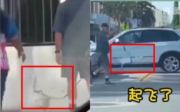 大街上遛鵝不夠稀奇？　親睹鵝「飛著過馬路」驚呆了