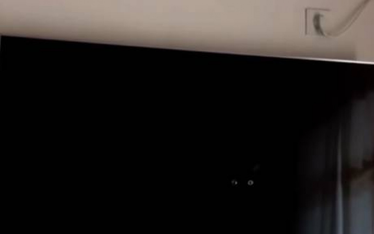 真的是大家來找碴！　哪種貓咪最會隱身？黑貓這優勢奪冠