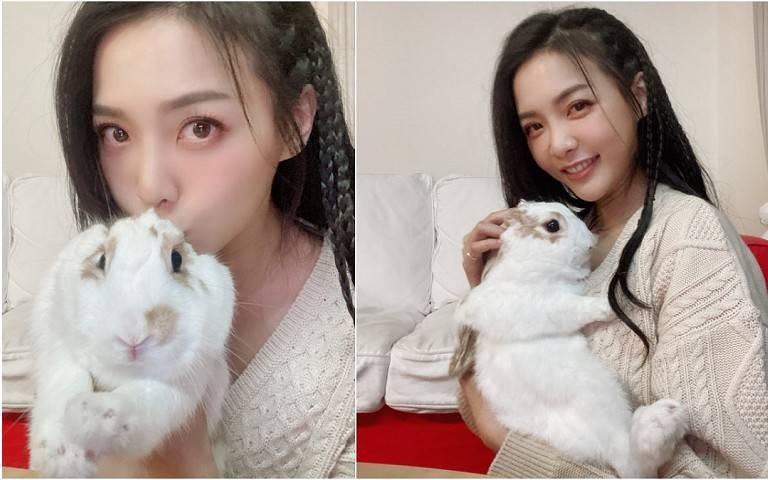 寵物情緣/把「退休演員」帶回家養 何蓓蓓驚覺陷騙局:看起來無害 其實心機好重!