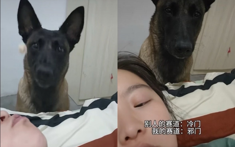 狗子和主人絕佳默契! 一吐一接「吃個零嘴也超累」