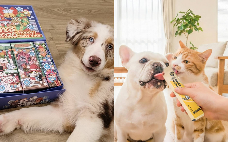 年末派對也要算毛孩一份！「臭味滾」聖誕禮盒、「雞湯大叔」永續寵食品牌新登場