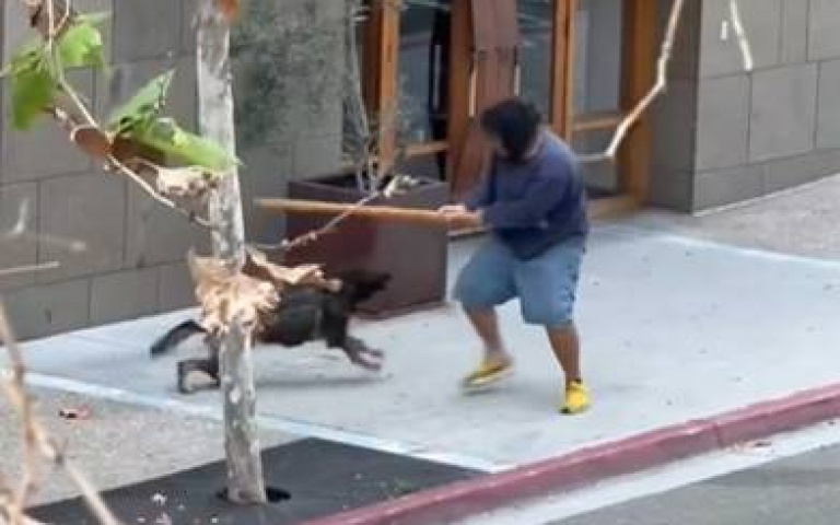 這不是演習！　看看現役警犬如何制伏犯人
