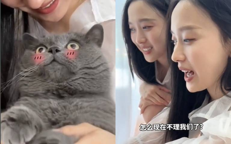 雙胞胎姊妹惡搞喵喵！姊頭痛進房下秒妹登場　牠眼睛瞪大矇了