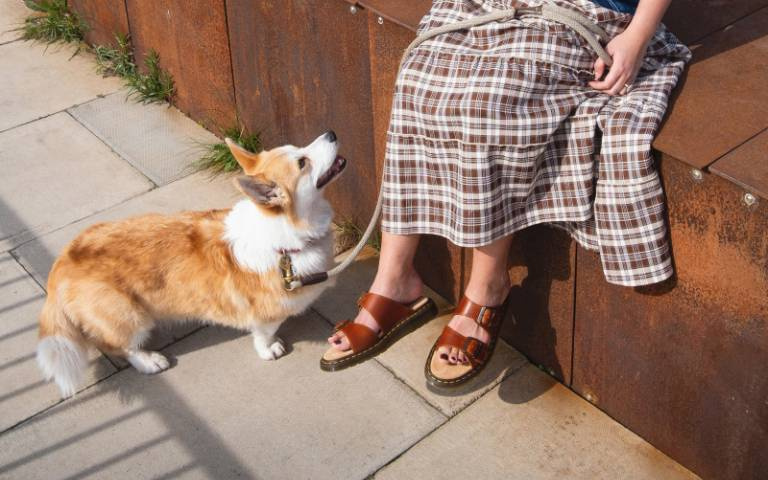 夏日出行必穿！Dr. Martens推新款涼鞋，舒適、簡約、不悶熱！