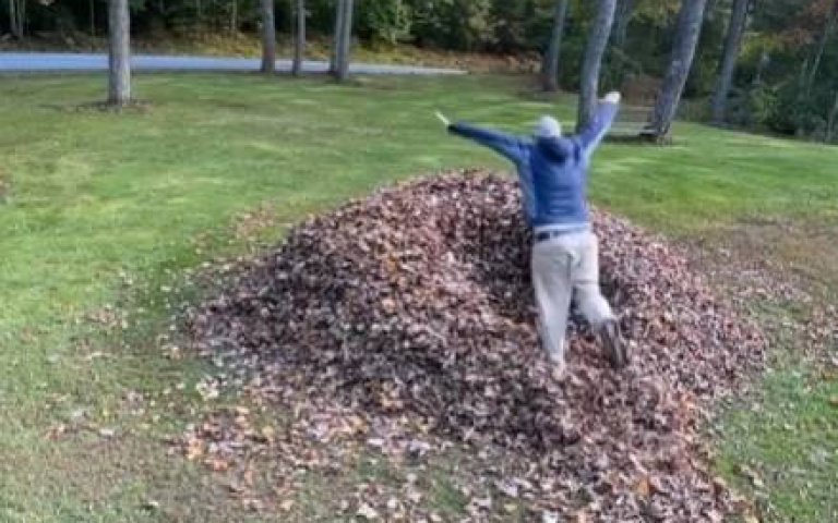 主人比狗更貪玩！　花式奔向落葉堆看起來超享受