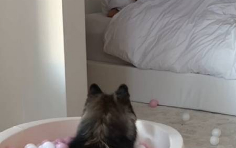 女主人的農場日常！一早先餵動物　網友皺眉：老公還在睡？