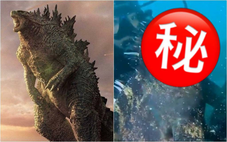 是真的哥吉拉!這個縮水版的也太萌了吧!而且哥吉拉不吃肉?