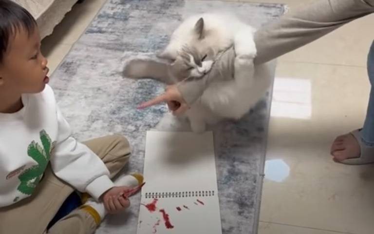 不可以欺負小主人！男孩拿唇釉亂畫被罵　喵星人竟出手制止