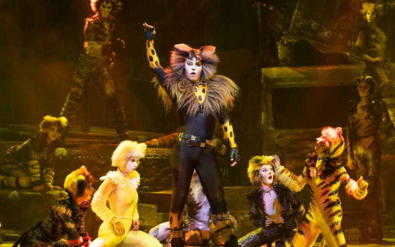 音樂劇《貓》7度來台　破紀錄將巡演40場