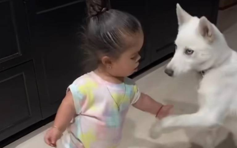 小小訓犬師!女孩超有架勢下指令 狗狗聽話照做