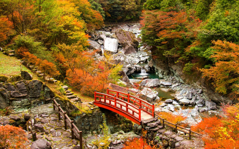 燦星、虎航、高知縣續推秋冬包機    4大行程亮點搶先看