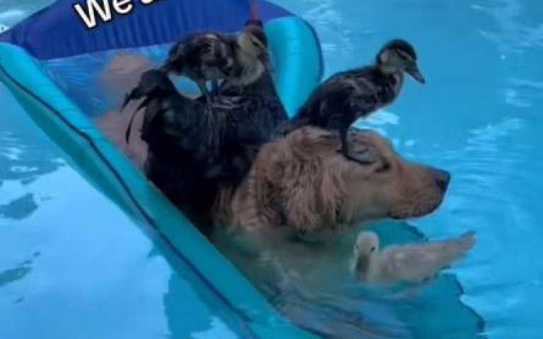 阿金個性夠穩！　船快沉了…還是面無表情