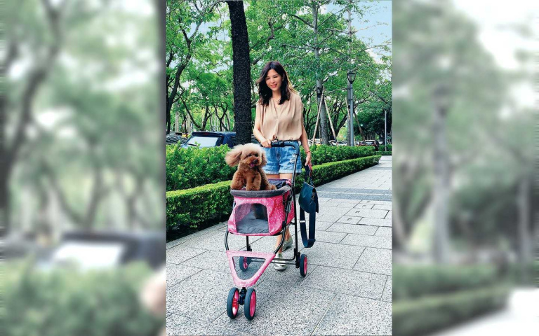 寵物情緣/克服動物恐懼症 王百瑜麵店收養狗女兒