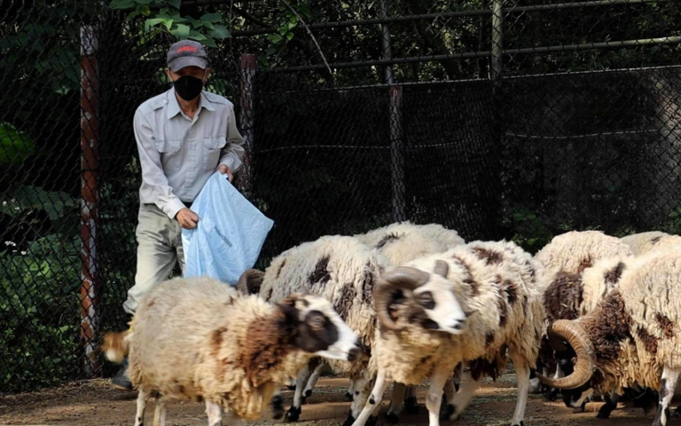 大膽”秀恩愛”！六福村情人節期間限定，現場接吻十秒就能折抵門票！