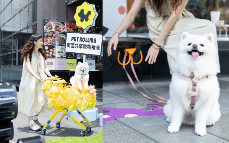 台中草悟道變身寵物友善街區　免費租借共享推車、開戶外毛孩主題派對