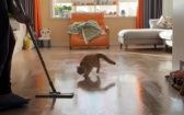 見到拖把就跳！　主人做自己的家事、貓咪玩自己的遊戲
