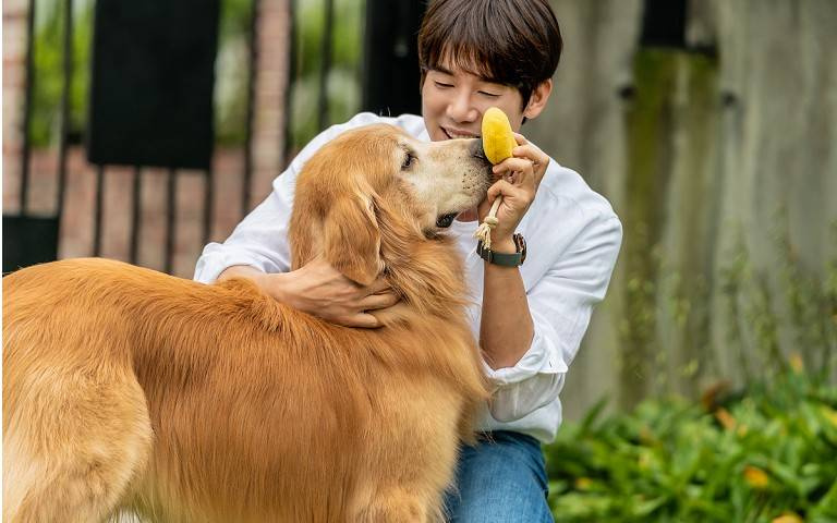亞洲發燒星／「中大型犬難找飼主」柳演錫暖心領養　不為女友丟狗：會陪伴到最後