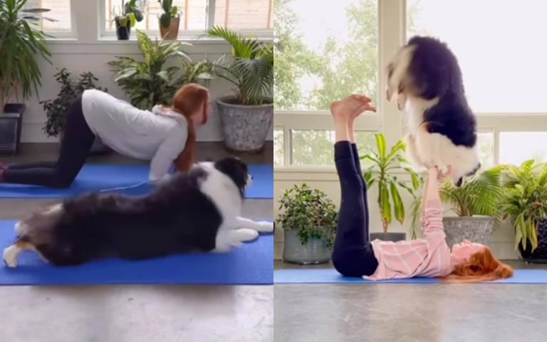 狗狗J個柔軟度！和主人一起做瑜珈…加碼上演合體技