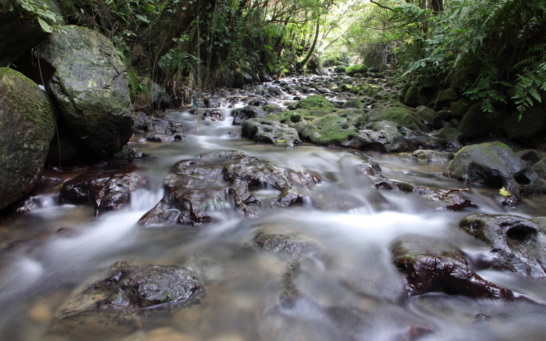 「臺北貓空茶會」暑期登場　品茶加探訪貓纜秘境　限量名額即日起45折開賣