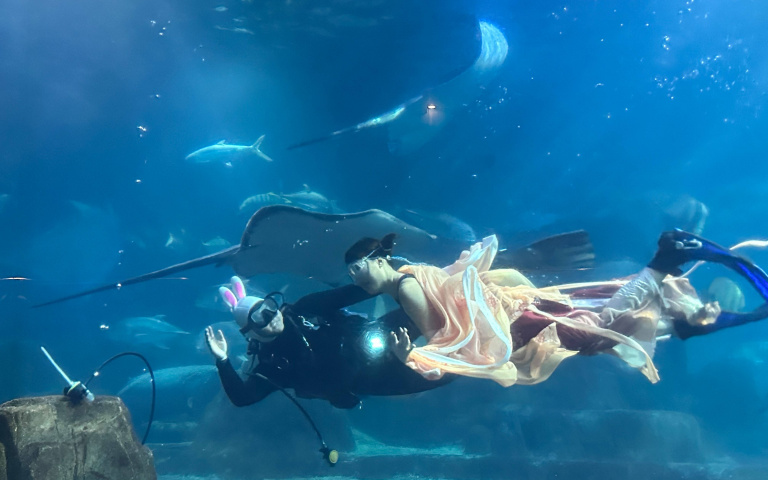 水中嫦娥奔月! 遠雄海洋公園中秋限定場