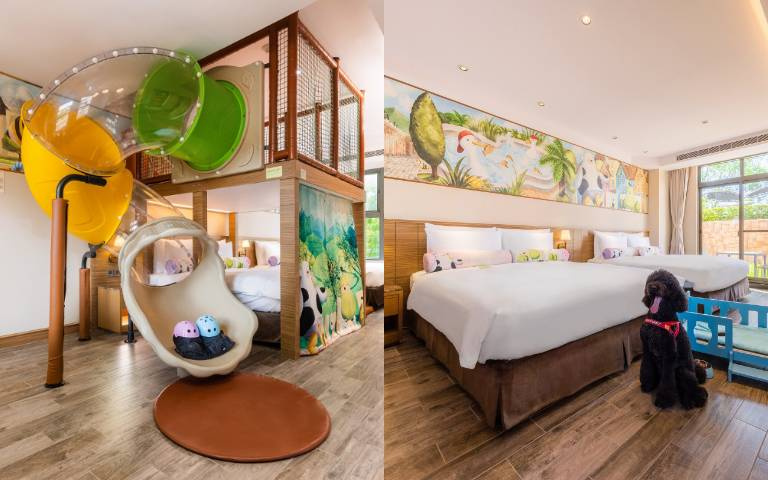 指定日入住享瑞穗黃金湯！一泊二食、兒童免費，寵物家庭還提供罐頭、尿墊！