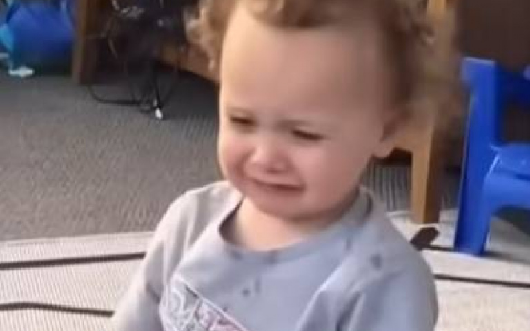 狗為了吃啥都幹得出來！卑鄙搶食畫面曝　網友：不好笑