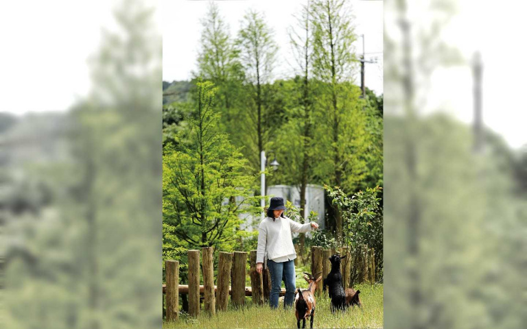 玩家帶路/新北金山 牧場走跳趣