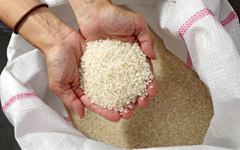 【宜蘭】聽稻米在說故事 來宜蘭玩，用手機種自己的菜