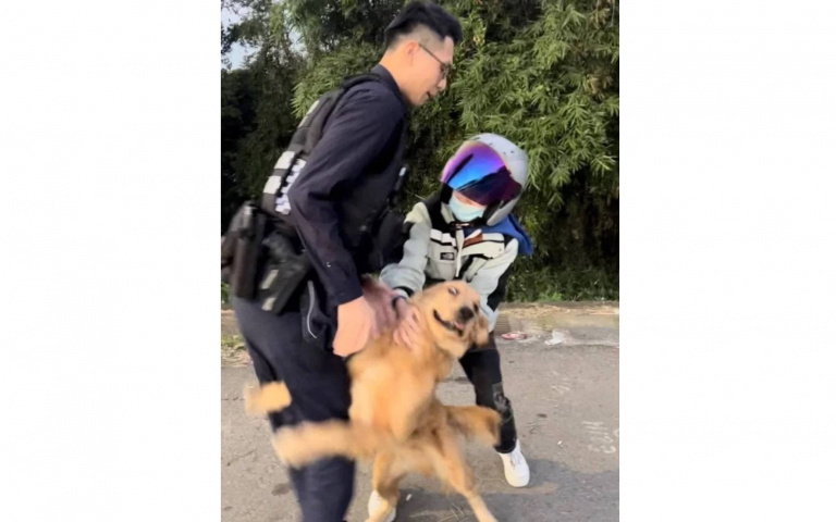 我走失了啦！聰明阿金找不到路自己「抱警」　緊巴帥警大腿不放全網笑翻