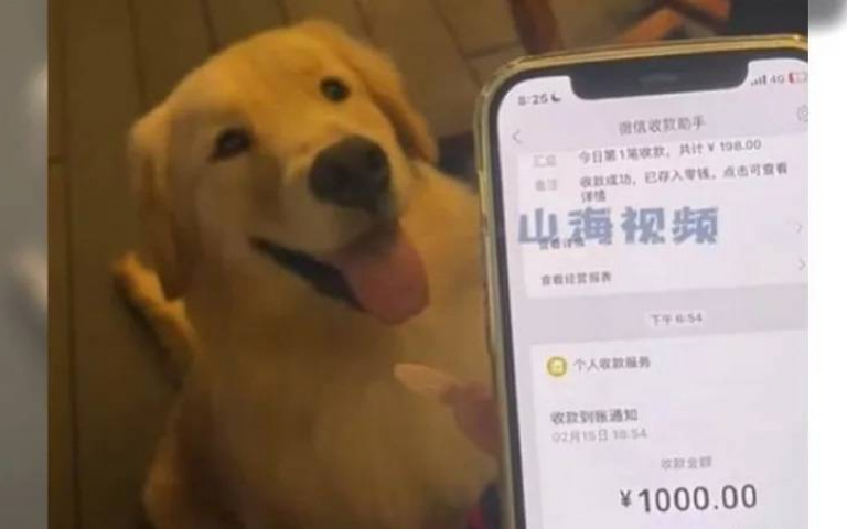 「真」黃金獵犬！牠咬中彩票逼主人買　飼主爽賺4000元開罐頭嘉獎