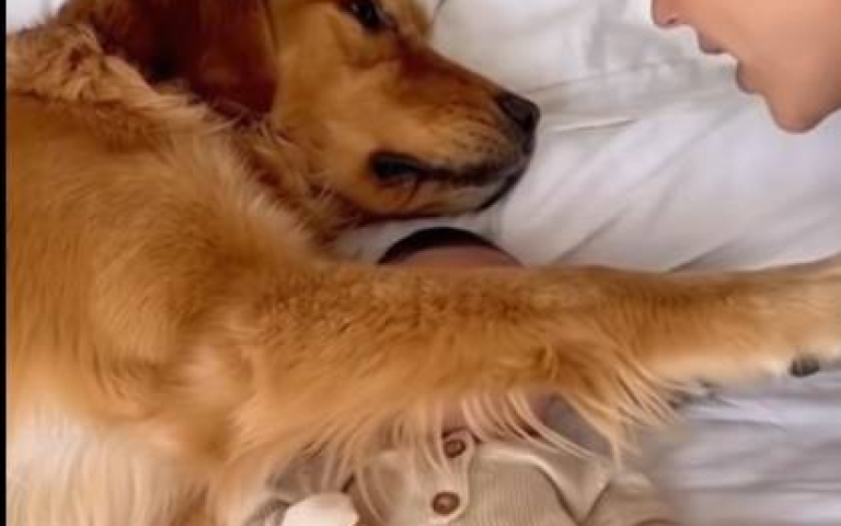 只是想討個親親！　阿金汪一聲吠走老媽