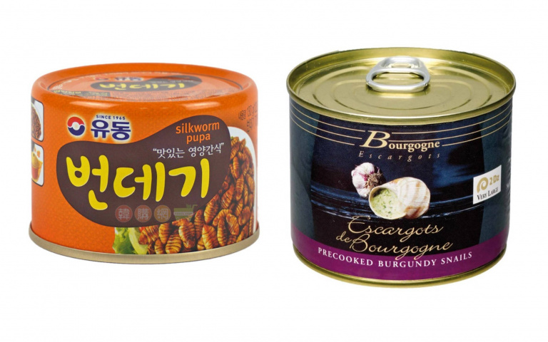 昆蟲乾、蠶蛹、蝸牛零食吃過嗎?當作下酒菜、配飯吃,豐富營養價值吃完會愛上!