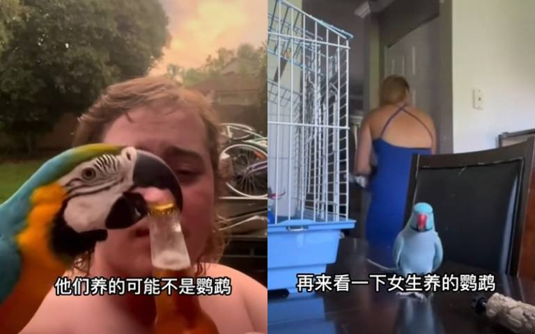 男女養動物各有特色!? 辣妞養的鸚鵡竟成好閨密