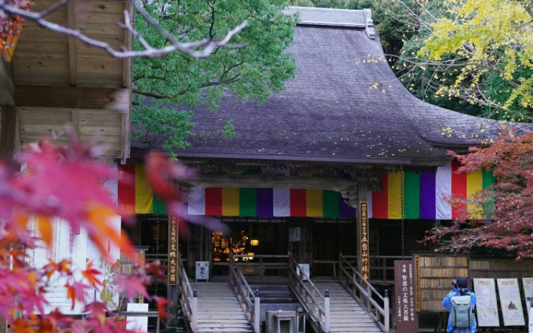 慢遊四國高知2／追隨高僧足跡訪古寺　沿海岸線與龍馬相遇、朝聖海上鳥居