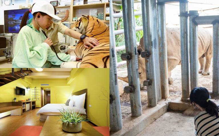 六福莊「小小獸醫實習營」！近距離幫犀牛健檢，一次玩瘋水陸雙樂園！