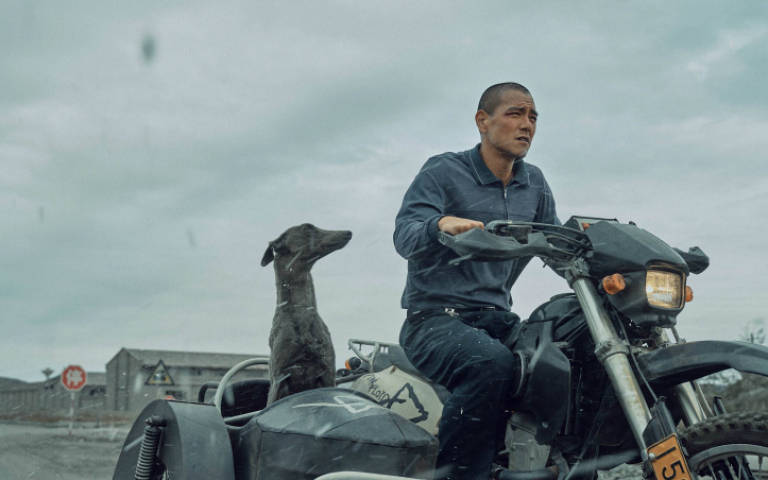 彭于晏新片跳過抽籤上映　頂光頭帶狗兒登賀歲片