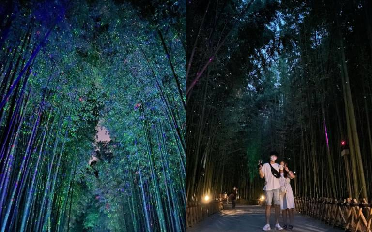 一腳踏入宇宙!被滿天星斗包圍的「銀河十里竹林」,絕美告白聖地「免入場費」!