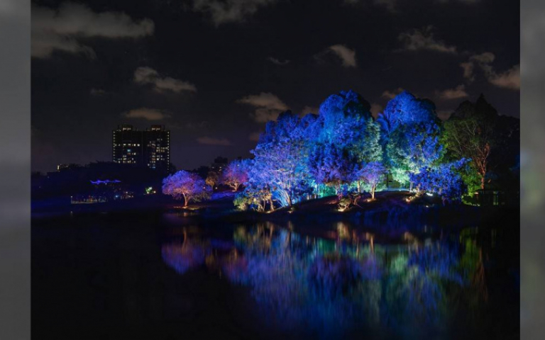 2022台灣燈會　衛武營燈區結合地景藝術…在森林打造光影廊道
